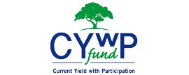Current Yield with Participation Fund