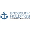 BridgeLink Holdings
