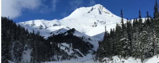 Chrysalis Growth Partners