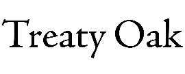 Treaty Oak Equity
