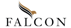 Falcon Capital Partners, LLC