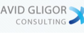David Gligor Consulting LLC