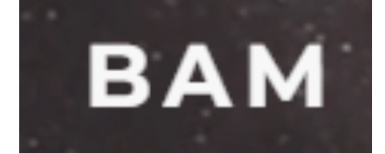 Brandsma Asset Management