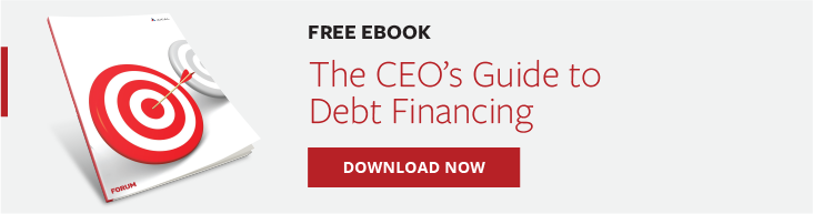 The CEO's Guide to Debt Financing - Banner CTAs