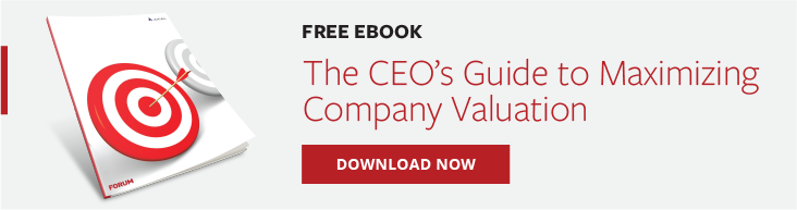 The CEO's Guide to Maximizing Company Valuation - Banner CTA