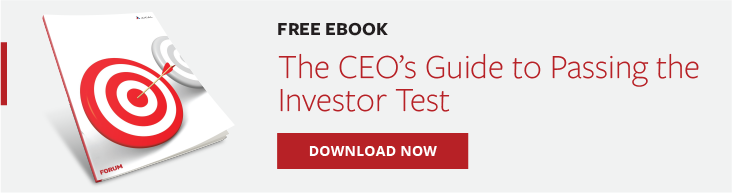 The CEO's Guide to Passing the Investor Test - Banner CTAs